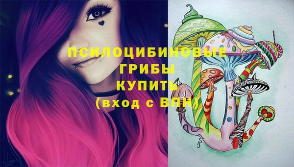 2c-b Абаза